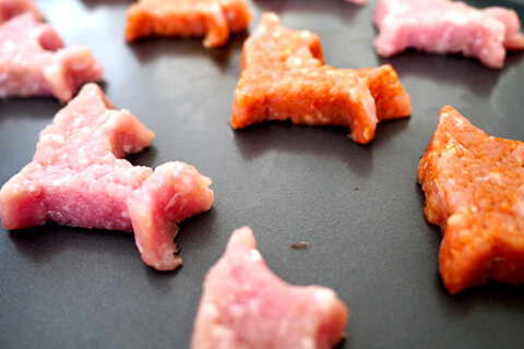 謎肉の写真素材撮影