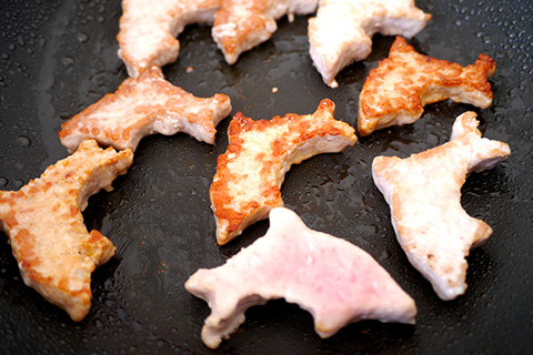 謎肉の写真素材撮影