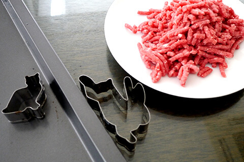 謎肉の写真素材撮影