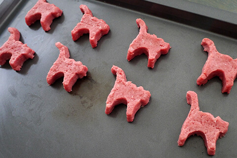 謎肉の写真素材撮影