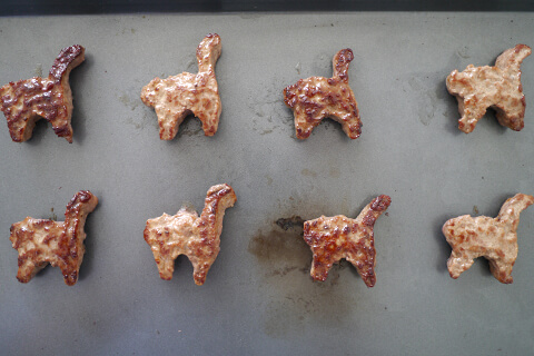 謎肉の写真素材撮影