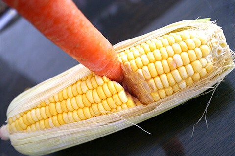 遺伝子組み換えでないの写真素材撮影