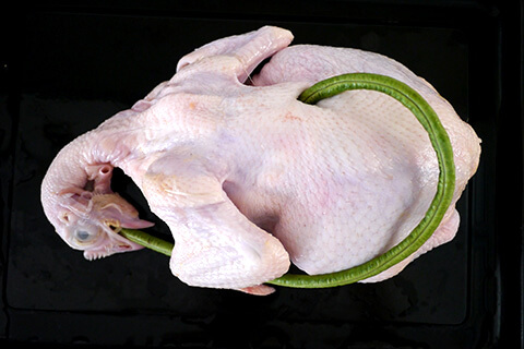 遺伝子組み換えでないの写真素材撮影