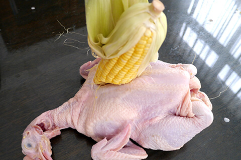 遺伝子組み換えでないの写真素材撮影