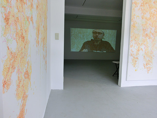 View of SHINTAKU Tomoni Solo Exhibition