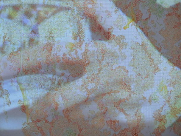View of SHINTAKU Tomoni Solo Exhibition