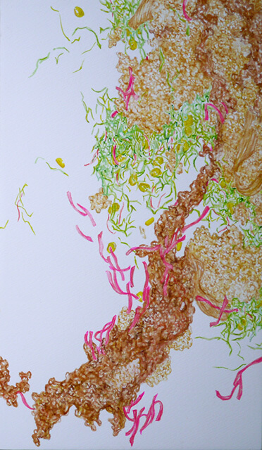 牛丼の滝 #115-08 2014年 パネルにモンバル紙、水彩 33×19cm