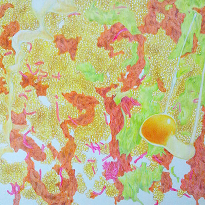 LIFE feat 5,002kcal(吉野家：牛丼並盛×7+けんちん汁×1+玉子×1+お新香×1+コールスローサラダ×2)2012年 パネルにケント紙、色鉛筆、アクリル 30.0×30.0cm