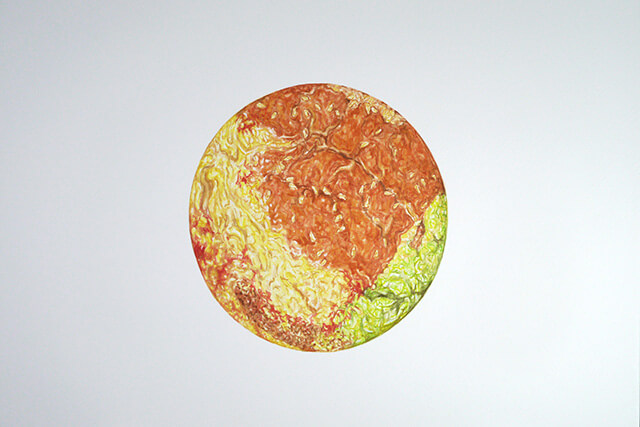 Japanize! (Hamburger/America)