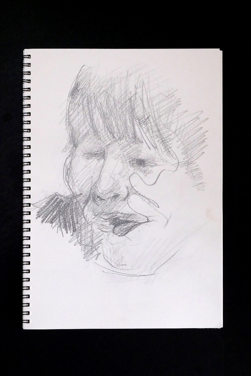 Contemporary artist SHINTAKU Tomoni's 2012/1/20 Self-portrait or pencil drawing