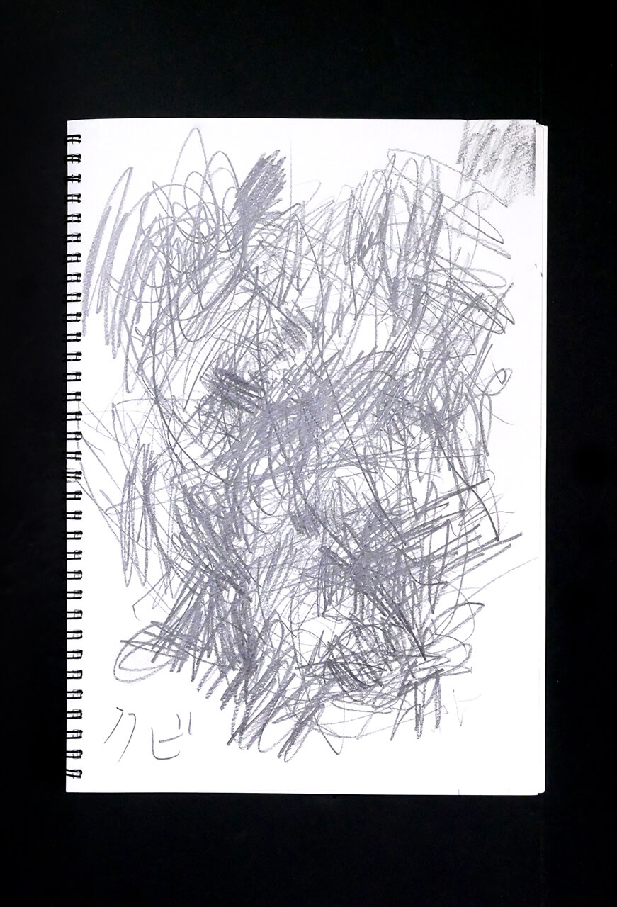 Contemporary artist SHINTAKU Tomoni's 2013/12/21 Self-portrait or pencil drawing